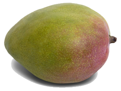 Herkunft der Mango