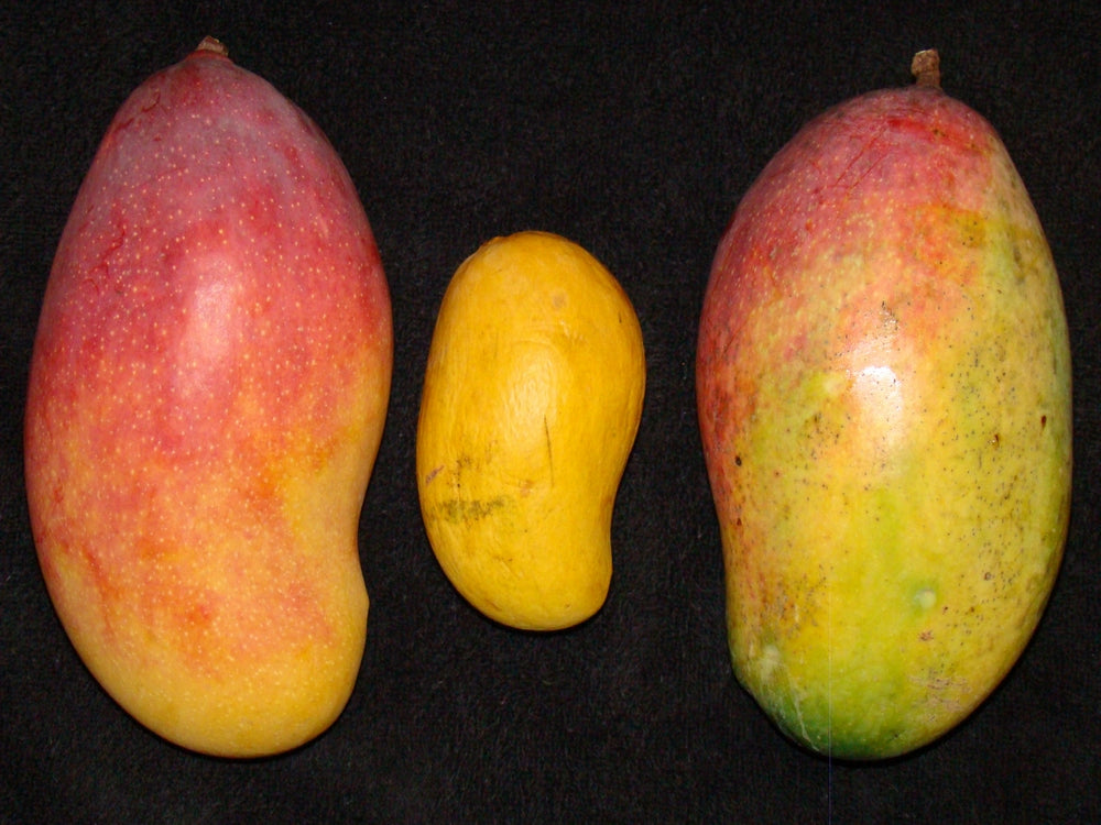 Mangosorten